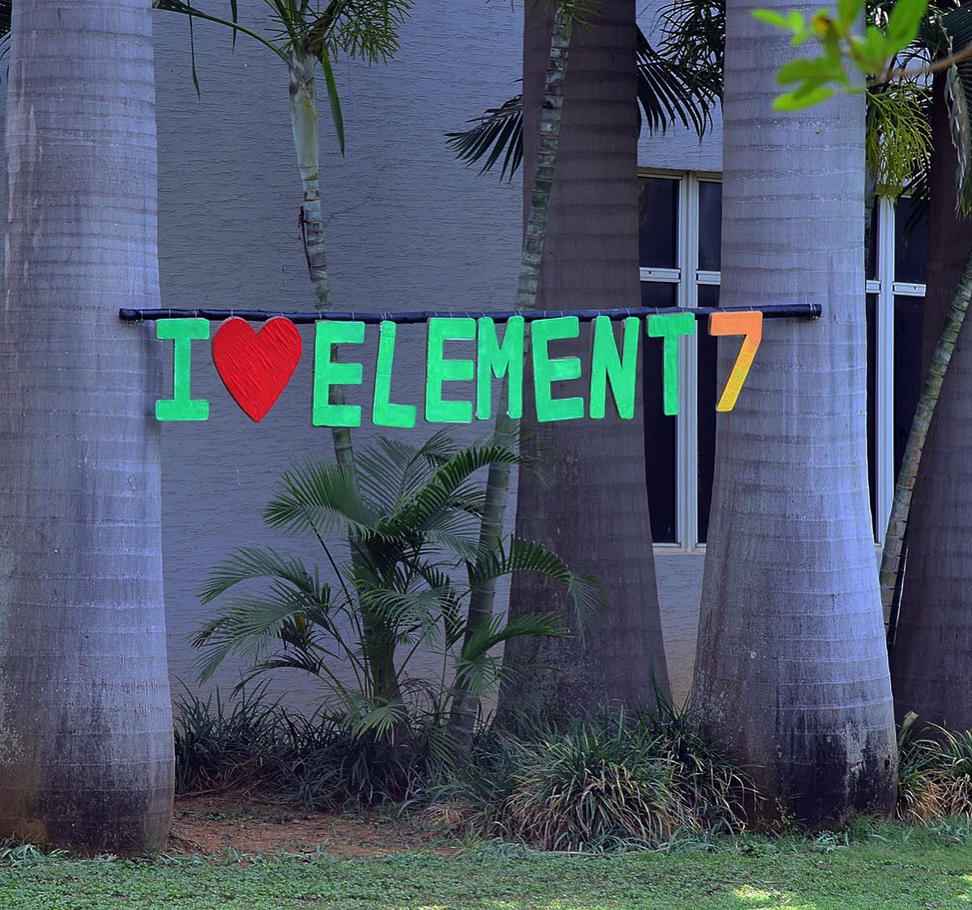 element 7